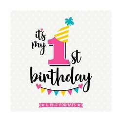 1st Birthday SVG, First Birthday cut file, Birthday iron on file, Girls Birthday Shirt svg, Kids Birthday SVG Design, Co