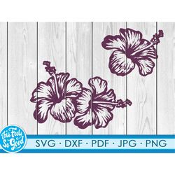 Hibiscus svg png, Tropic SVG, Tropical Flowers Svg, beach Hibiscus Cut File For Cricut Silhouette Machines Svg, Jpg Png,