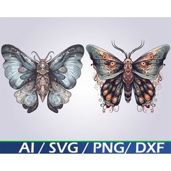 Moth SVG Bundle Digital Download blue Moth clip art pink moth png Mystical moth svg luna moth svg lunar moth boho svg