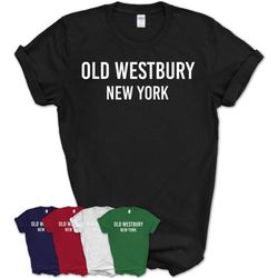Old Westbury New York Ny Usa Patriotic Vintage Sports T-Shirt