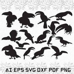 Toucan svg, Toucans svg, bird svg, birds, fly, SVG, ai, pdf, eps, svg, dxf, png
