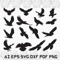 Falcon Bird svg, Falcon Birds svg, Falcon svg, bird, birds, SVG, ai, pdf, eps, svg, dxf, png
