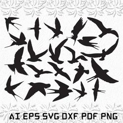 Swallow Birds svg, Swallow Bird svg, Swallow svg, birds, bird, SVG, ai, pdf, eps, svg, dxf, png
