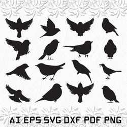 Sparrow svg, Sparrows svg, Animal svg, Birds, Bird, SVG, ai, pdf, eps, svg, dxf, png