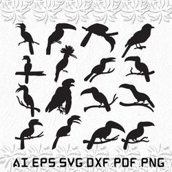 Hornbills svg, Hornbill svg, Birds svg, fly, bird, SVG, ai, pdf, eps, svg, dxf, png