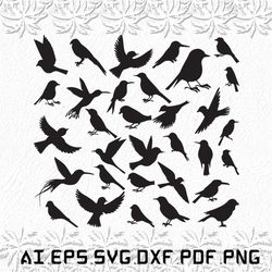 Nightingale svg, Nightingales svg, Night svg, Bird, Birds, SVG, ai, pdf, eps, svg, dxf, png