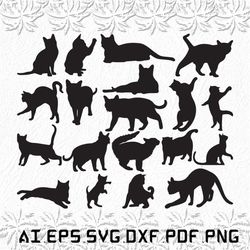 Korat Cat svg, Korat Cats svg, Korat svg, cat, cats, SVG, ai, pdf, eps, svg, dxf, png