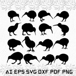 Kiwi svg, Bird svg, Birds svg, Nature, Animal, SVG, ai, pdf, eps, svg, dxf, png