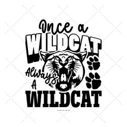 Wildcat Svg, Once A Wildcat, High School Graduate, For School, Wildcats Vector