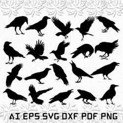 Crow svg, Crows svg, Raven svg, Bird, Black, SVG, ai, pdf, eps, svg, dxf, png