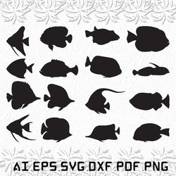 Tropical fish svg, Tropical fishs svg, Fish svg, Tropical, Tropicals, SVG, ai, pdf, eps, svg, dxf, png