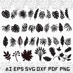 leaves svg, jungle leaves svg, palm jungle svg, monstera, fall leaves, SVG, ai, pdf, eps, svg, dxf, png