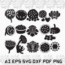 Lotus Seed svg,  Lotus Seeds svg, Flower svg, Lotus, Seed, SVG, ai, pdf, eps, svg, dxf, png