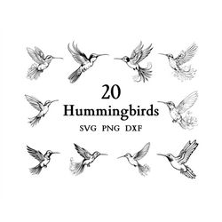 Hummingbird Svg Bundle , Hummingbird Svg , Cut Files for Cricut And Laser Engraving , 20 Svg, Png, and Dxf Files Combine