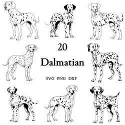 Dalmatian Svg Bundle , Dog Svg , Cut Files for Cricut And Laser Engraving , 20 Svg, Png, and Dxf Files Combined in One B