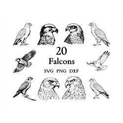 Falcon Svg Bundle , Falcon Svg , Cut Files for Cricut And Laser Engraving , 20 Svg, Png, and Dxf Files Combined in One B