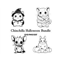 Chinchilla Halloween Bundle , Chinchilla Svg , Halloween Designs