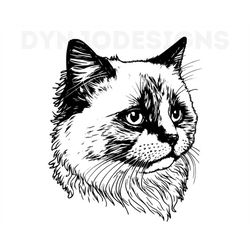 Ragdoll Cat Head Svg , Cat Svg , Cut Files for Cricut And Laser Engraving , 1 Svg, Png, and Dxf File