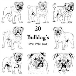 Bulldog Svg Bundle , Dog Svg , Cut Files for Cricut And Laser Engraving , 20 Svg, Png, and Dxf Files Combined in One Bun