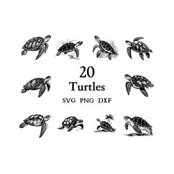 turtle svg, turtle bundle, turtle clipart, turtle png,  turtle cut files for cricut,  cute turtle, baby turtle, svg bund