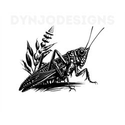 Grasshopper Svg, Grasshopper Clipart, Grasshopper Png, Grasshopper Head, Grasshopper Cut Files For Cricut , Insects Silh