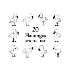 Flamingo Svg Bundle , Flamingo Svg , Cut Files for Cricut And Laser Engraving , 20 Svg, Png, and Dxf Files Combined in O