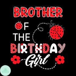 Brother Of The Birthday Girl Svg, Family Ladybug Birthday SVG