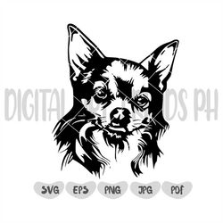 Chihuahua Svg || Chihuahua svg digital file || Dog breed svg || Dog face svg || Dog svg clipart | Dog face vector | Cric
