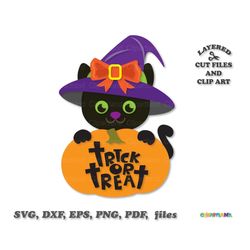 INSTANT Download. Halloween black cat svg cut file and clip art. Personal and commercial use. C_13.