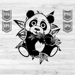Cute Panda eating weed || Svg File || Rasta Panda || Panda Svg || Cute Panda Svg || Weed Panda || Cannabis Svg || Weed S