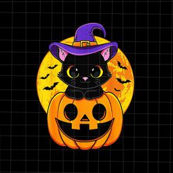 Black Cat Witch Hat Pumpkin Halloween Png, Cute Black Cat Witch Halloween Png, Black Cat Halloween P