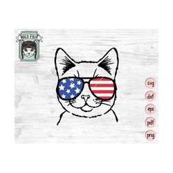 July 4th Cat SVG, Funny Cat svg, Fourth of July Cat svg file, patriotic clipart, Ameowica clip art, July 4th cut file, A