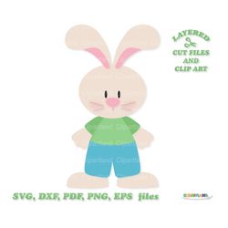 INSTANT Download. Cute Easter bunny boy svg cut files and clip art. Personal and commercial use. B_7.