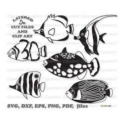 INSTANT Download. Sea fish svg cut file and clip art. Commercial license is included up to 500 uses! Sf_2.