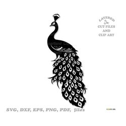 INSTANT Download. Pretty peacock silhouette svg cut file. Personal and commercial use. P_1.