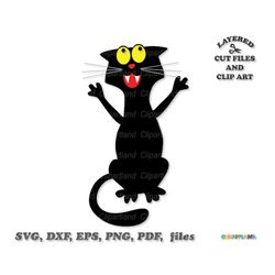 INSTANT Download. Funny Halloween black cat svg cut file. Personal and commercial use. C_14.