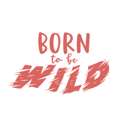 Born to be Wild, Birtday Svg, Birthday Party Svg, Party Svg, Boy Svg, Boy Birthday Svg, Silhouette Files, Cricut Files