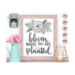 Bloom Where You Are Planted SVG, Bloom Where You Are Planted cut file, Flower, floral, Positive Quote, Religious Quote,