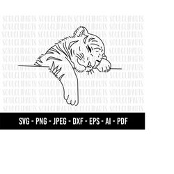 COD675-Cute tiger svg, Cute Tiger clipart, Tiger Clipart, Tiger Svg, animal svg, baby tiger Outline cut file for Cricut