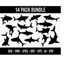 COD235- Shark Svg Files - SVG, PNG, JPG - Commercial Use, Shark Cut file, Digital Cut Files, Shark  Clipart, Digital Dow