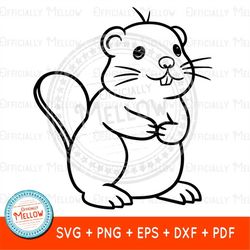 Beaver SVG, Beaver Gift, Beaver Clipart, Beaver PNG, Baby Beaver, Beaver Vector, Cute Animal svg, Cute Animal Gifts, Ins