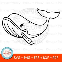 Whale SVG, Whale Gifts, Blue Whale, Whale Clipart, Ocean SVG, Whale Vector, Whale Png, Whale Outline Svg, Whale Watching