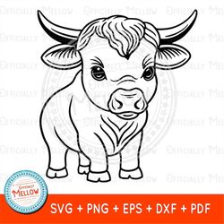 Baby Bull SVG, Bull SVG, Cute Cow SVG, Kids Rodeo Svg, Baby Bull Print, Baby Cow svg, Baby Rodeo Svg, Farmhouse Svg, Dig