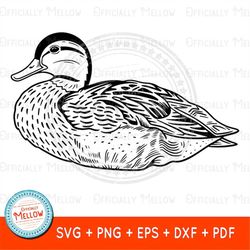 Mallard Duck SVG, Duck SVG, Mallard Duck Vector, Duck Lover Gift, Duck Outline, Duck clipart, duck dxf, Cute Bird, Cricu