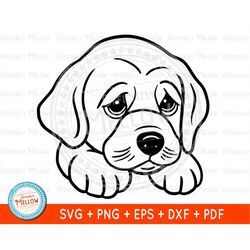 Puppy SVG, Puppy Face SVG, Dog SVG, Sad Dog, Cute puppy clipart png, Cute Puppy Face svg, Puppy Vector, Cricut Silhouett