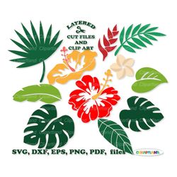 INSTANT Download. Tropical flowers and leaves svg cut file and clip art. Commercial license is included ! Tf_1.