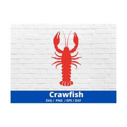 Crawfish Svg, Crayfish Svg, Crawfish Boil Svg, Mardi Gras Crawfish Svg, Crawfish Cut File, Summer Svg