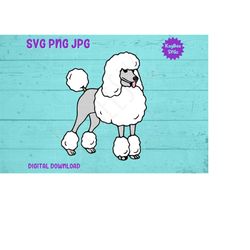 Poodle Dog SVG PNG JPG Clipart Digital Cut File Download for Cricut Silhouette Sublimation Printable Art - Personal Use