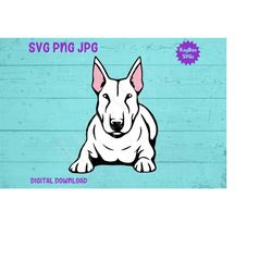 Bull Terrier Dog SVG PNG JPG Clipart Digital Cut File Download for Cricut Silhouette Sublimation Printable Art - Persona