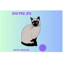 Siamese Cat SVG PNG JPG Clipart Digital Cut File Download for Cricut Silhouette Sublimation Printable Art - Personal Use